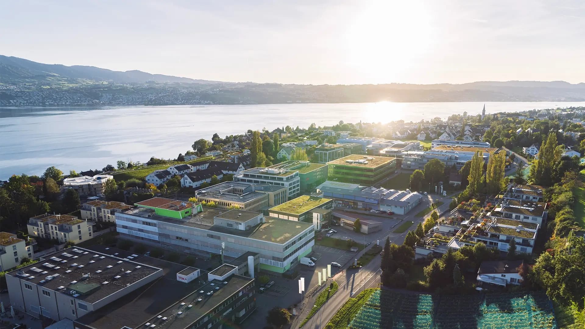 No alternate text provided